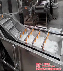 山東派菲克蔬菜噴淋清洗機 提升新疆蔬菜清洗效率的專業設備